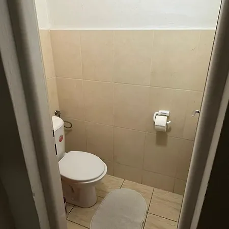 Big Apartmans In The Center Brünn