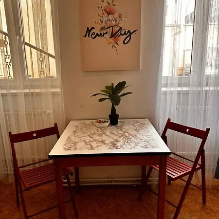 Big Apartmans In The Center Apartment Brünn