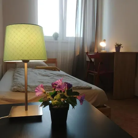 Big Apartmans In The Center Apartment *