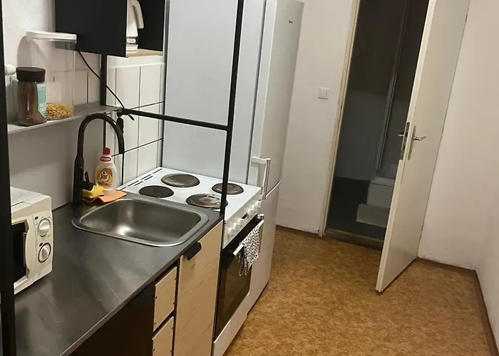 شقة Big Apartmans In The Center برنو